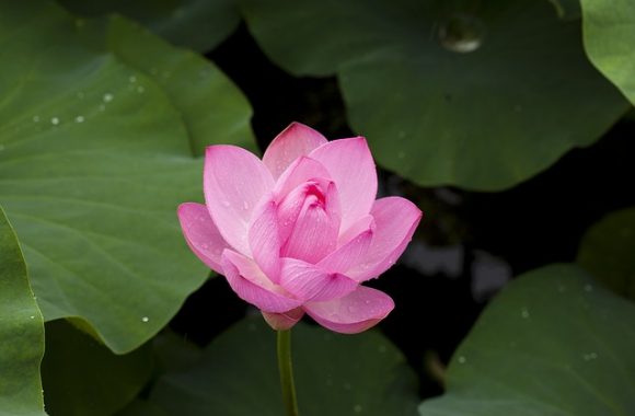 IMG_8463