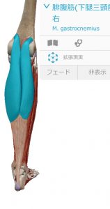 7356E585-FA57-4131-B30D-A16440D7C81F